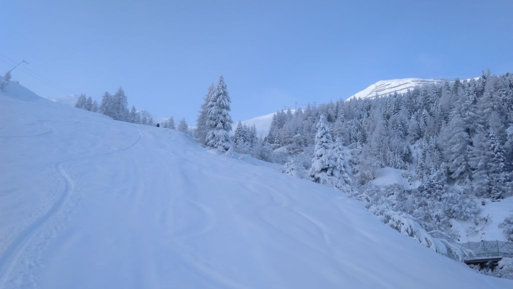Könnte ein guter Winter werden.